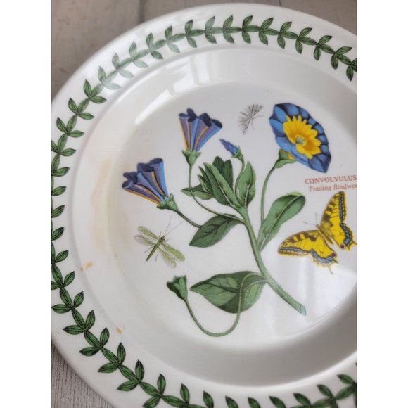 Portmeirion Botanic Garden AS IS 7" Trailing Bindweed salad plate - Picture 3 of 7
